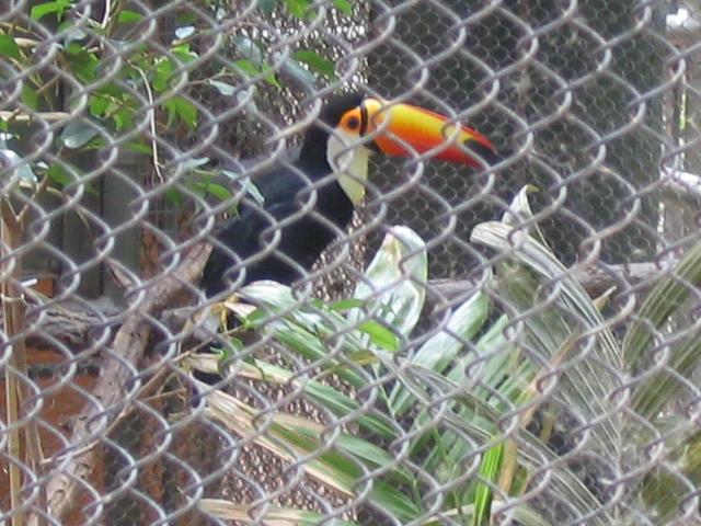 618x457 pixels (216K)